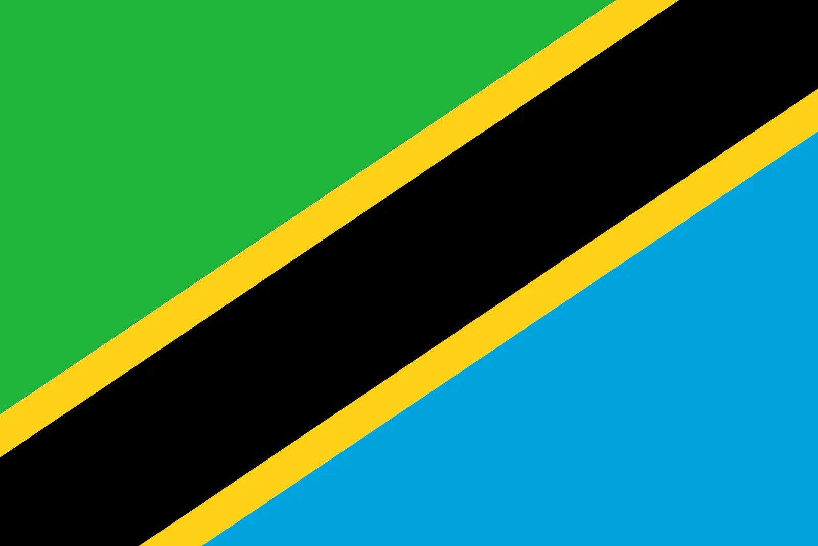 Tanzania flag