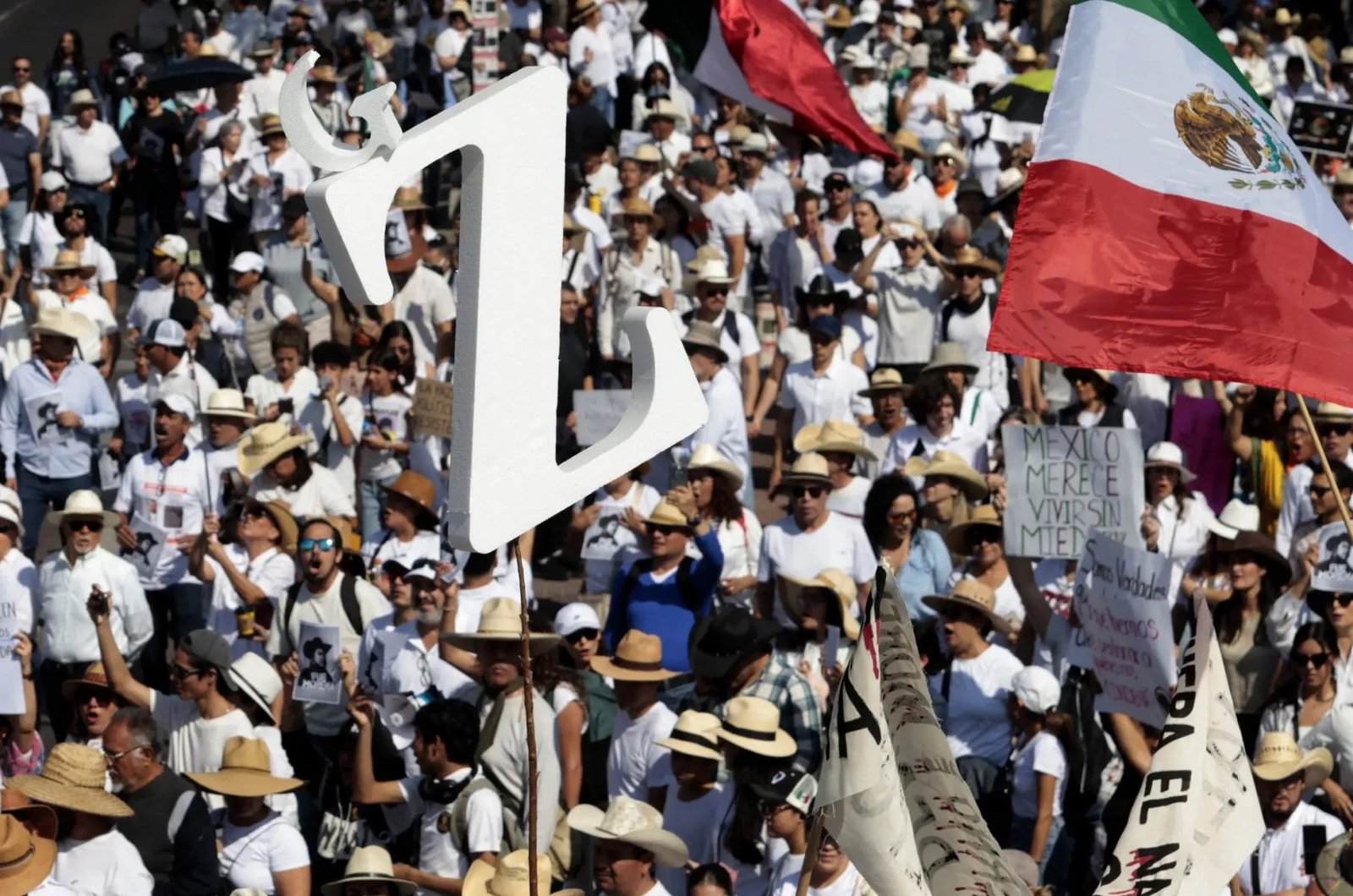 Mexico protest gallery image 2